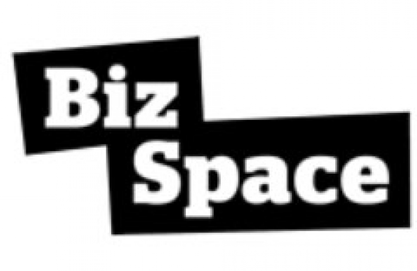 BizSpace
